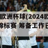 2024年欧洲杯球(2024欧洲足球锦标赛 筹备工作已进入倒计时)